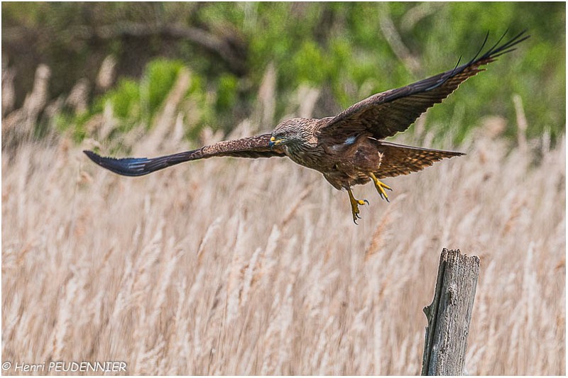 Milan noir_A13_2034_RC.jpg