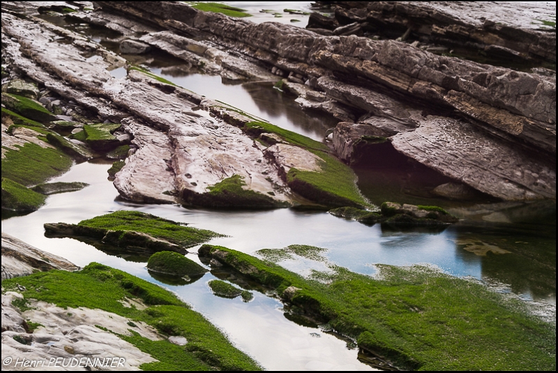 COTE BASQUE_B15_0256_RC.JPG