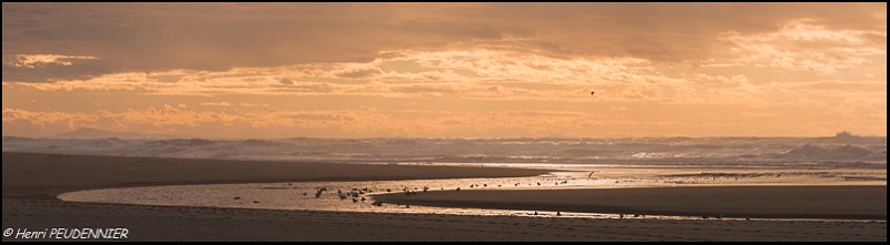 COURANT HUCHET_A14_6384_RC.JPG