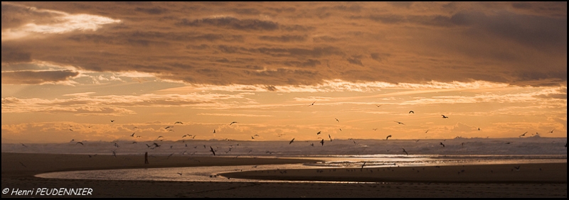 COURANT HUCHET_A14_6392_RC-2.JPG