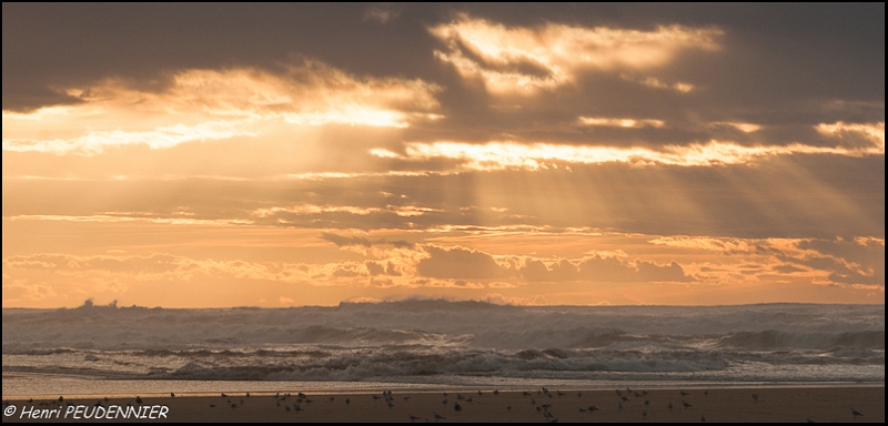 COURANT HUCHET_A14_6396_RC.JPG