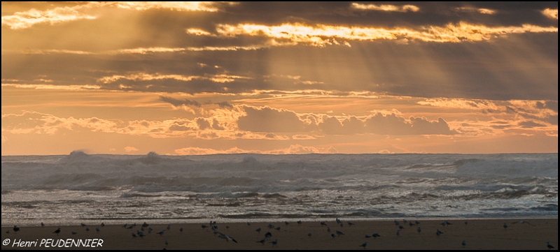 COURANT HUCHET_A14_6397_RC.JPG