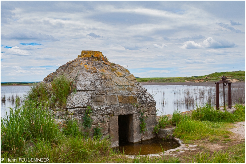 Lagunas_de_Pitillas_A13_2240_RC.jpg