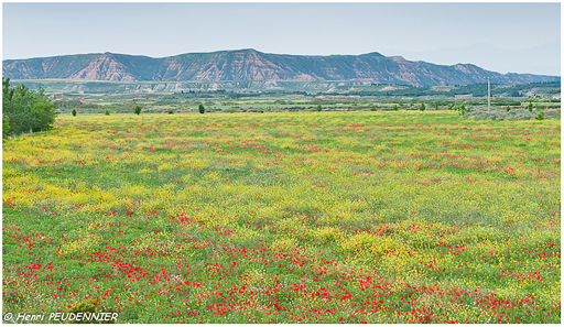 Les Bardenas_A13_2407_RC.JPG