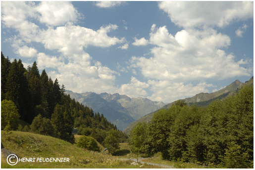 PYRENEES_06-1486_RC.jpg