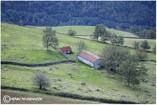 PYRENEES_10_7690_RC.jpg