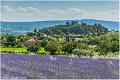 Lavandes_Provence_B16_1742_RC
