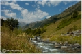 PYRENEES_06-1484