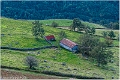 Pyrenees_A10_7690_RC