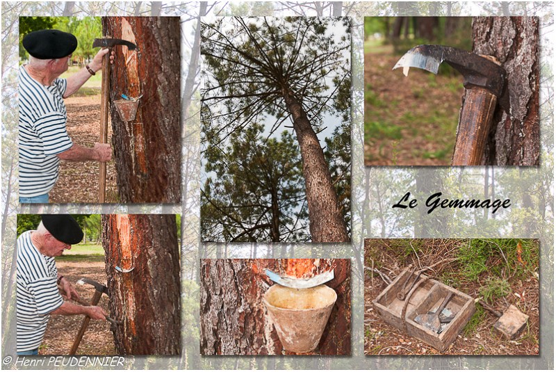 Le Gemmage_RC.jpg