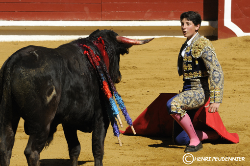 Tauromachie 09-3273-RC.jpg