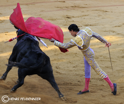 Tauromachie 09-4845-RC.jpg