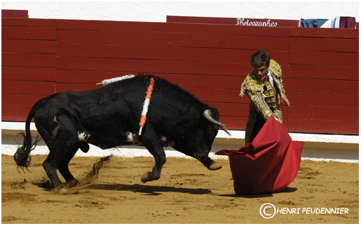 Tauromachie B08-0450-RC.jpg