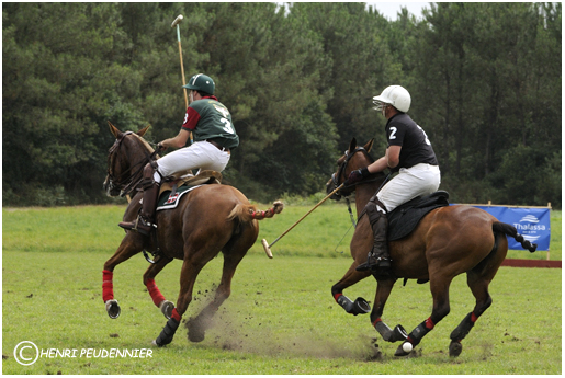 Polo10-3201-rc.jpg