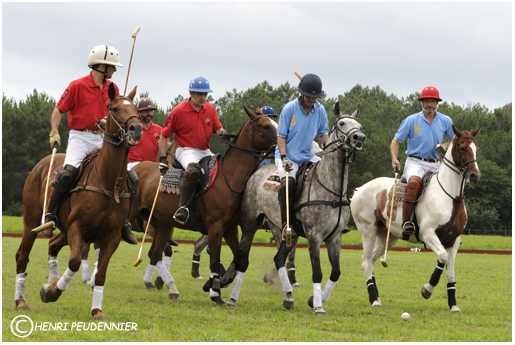 Polo10-3232-rc.jpg