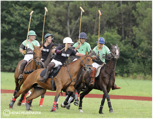 Polo10-3270-rc.jpg