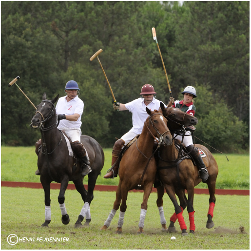 Polo10-3313-rc.jpg