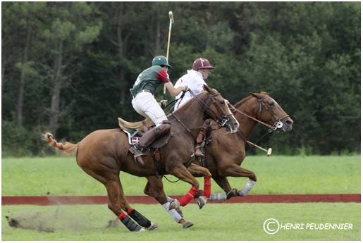 Polo10-3330-rc.jpg