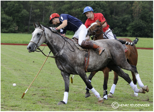 Polo10-2322-RC.jpg