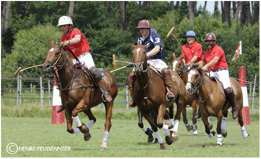 Polo10-2360-RC.jpg