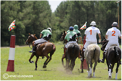 Polo10-2434-RC.jpg