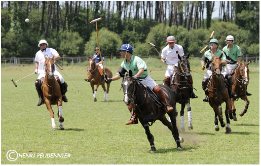 Polo10-2451-RC.jpg