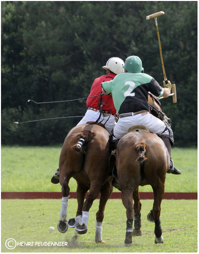 Polo10-2696-RC.jpg