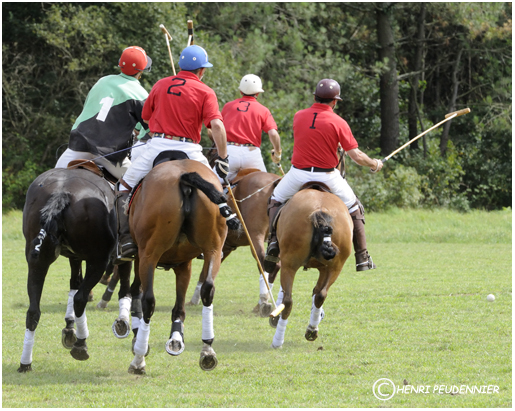 Polo10-2712-RC.jpg