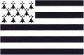 01-Drapeau breton_RC